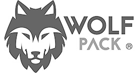 WP_BLUE_R_Large_Horiz copy1